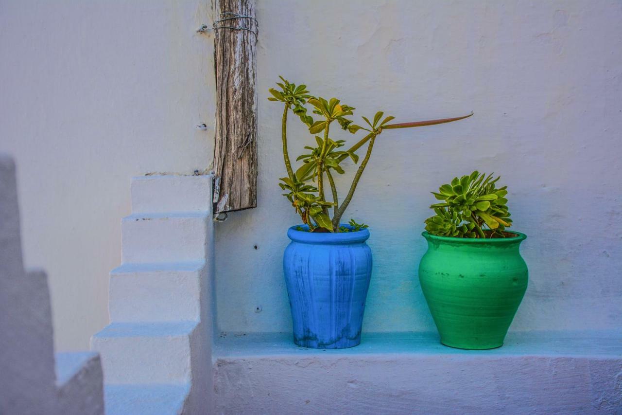 Riad Dari Tétouan 외부 사진